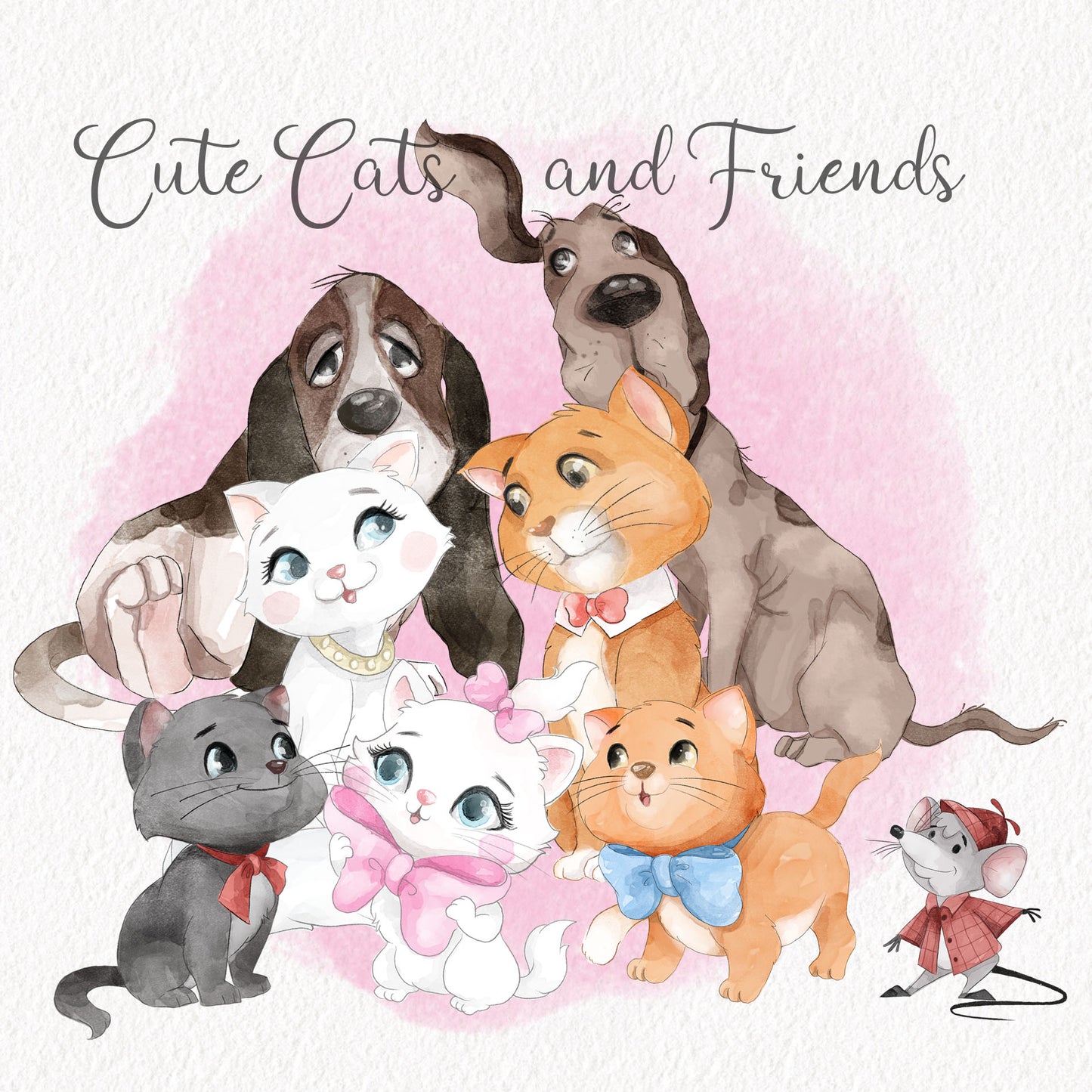 Cute Cats and friends Character clipart , Hand draw illustration ,PNG files 300 dpi.