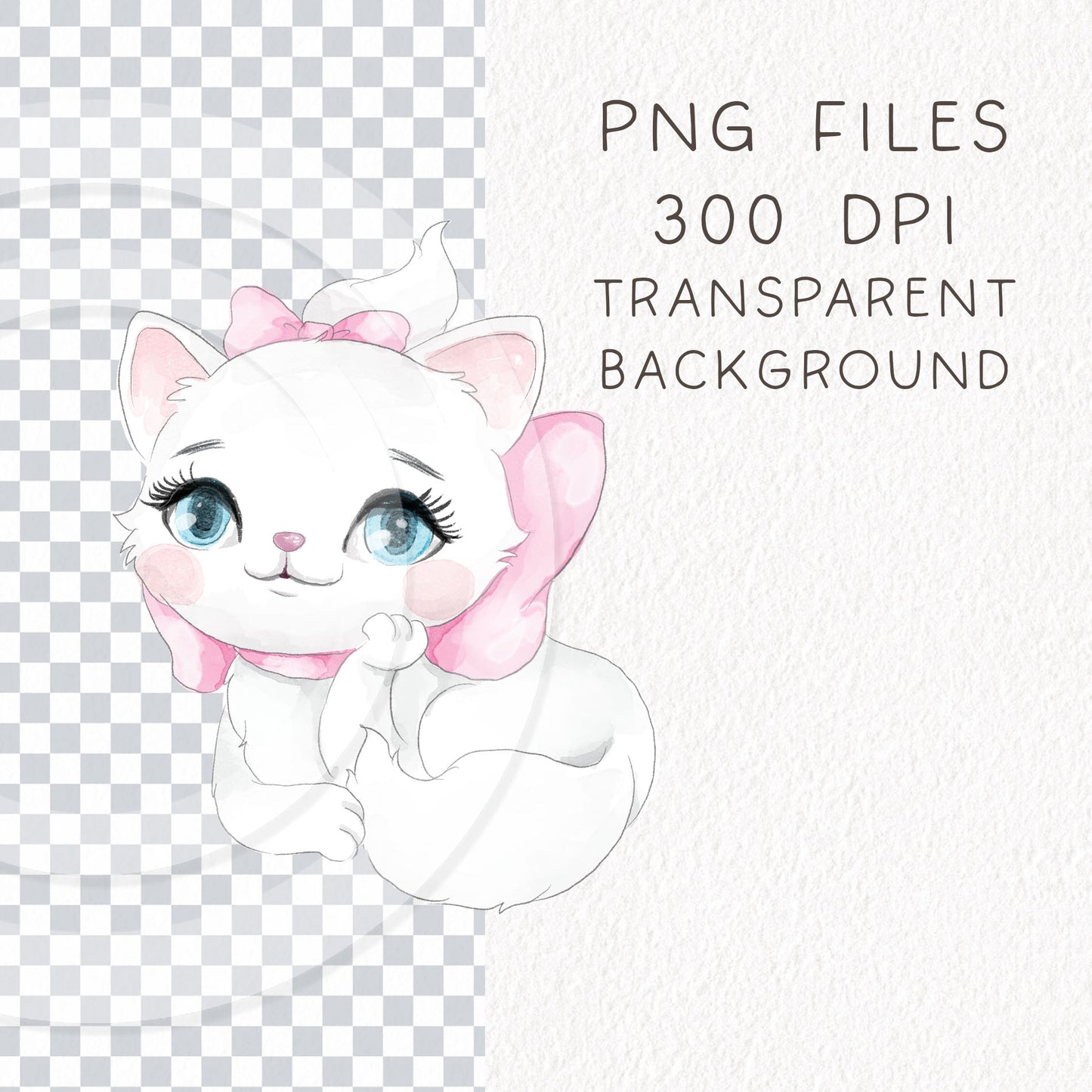 Cute Cats and friends Character clipart , Hand draw illustration ,PNG files 300 dpi.