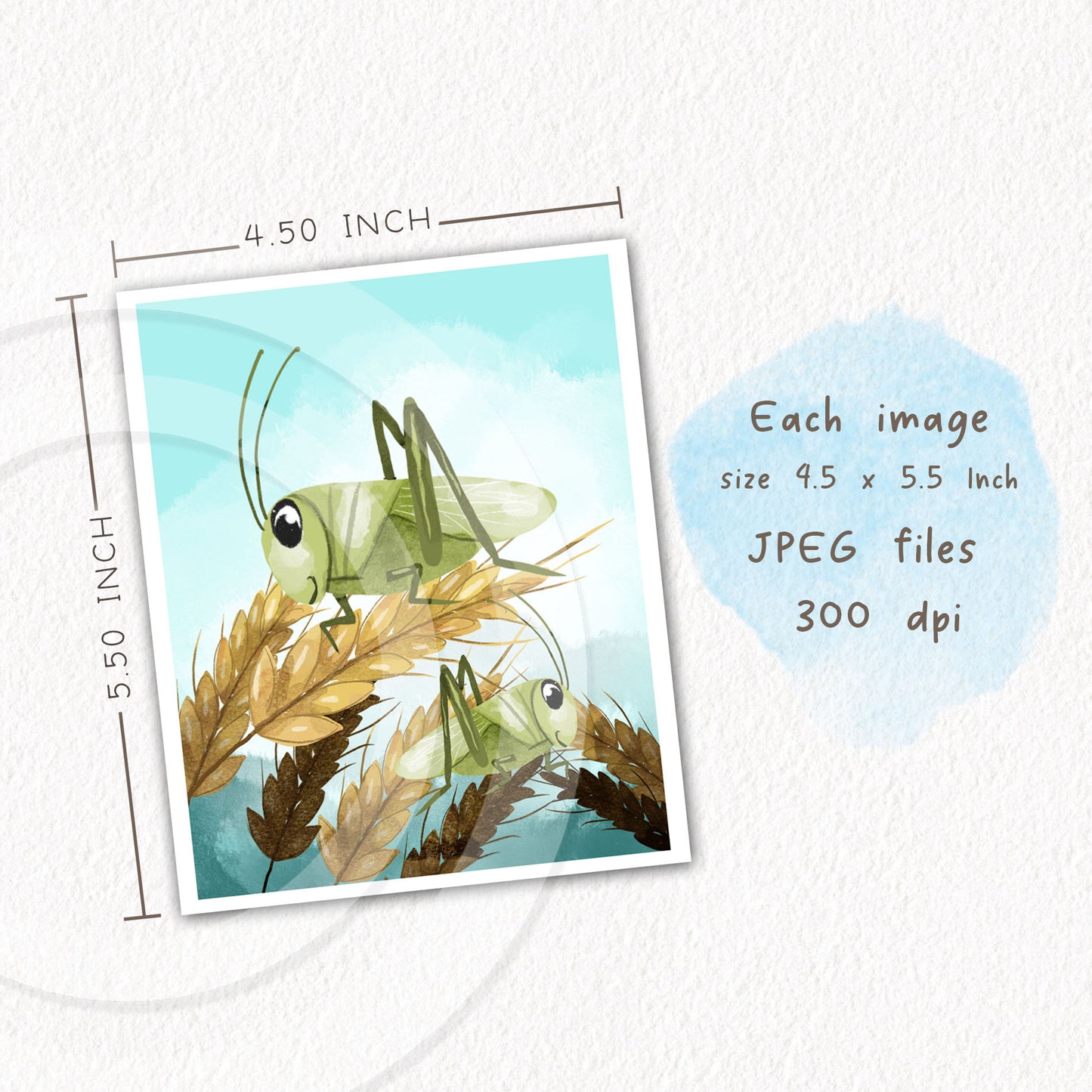 TEN PLAGUES of Egypt Clipart , Bible Stories, hand drawn illustration, Instant Download PNG files 300 dpi.