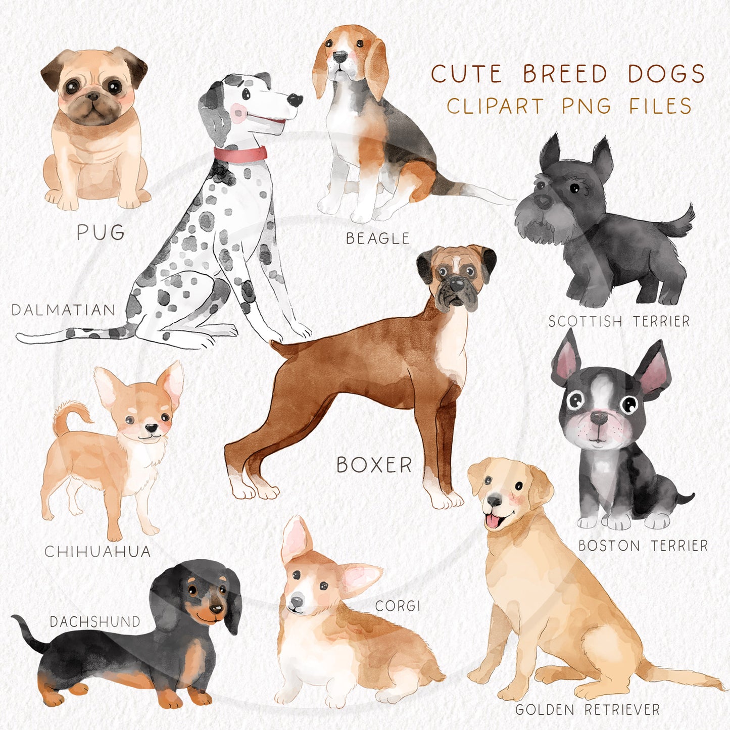 Cute dogs breed clipart , seamless Pattern design, Hand drawn clipart, Instant Download PNG file - 300 dpi