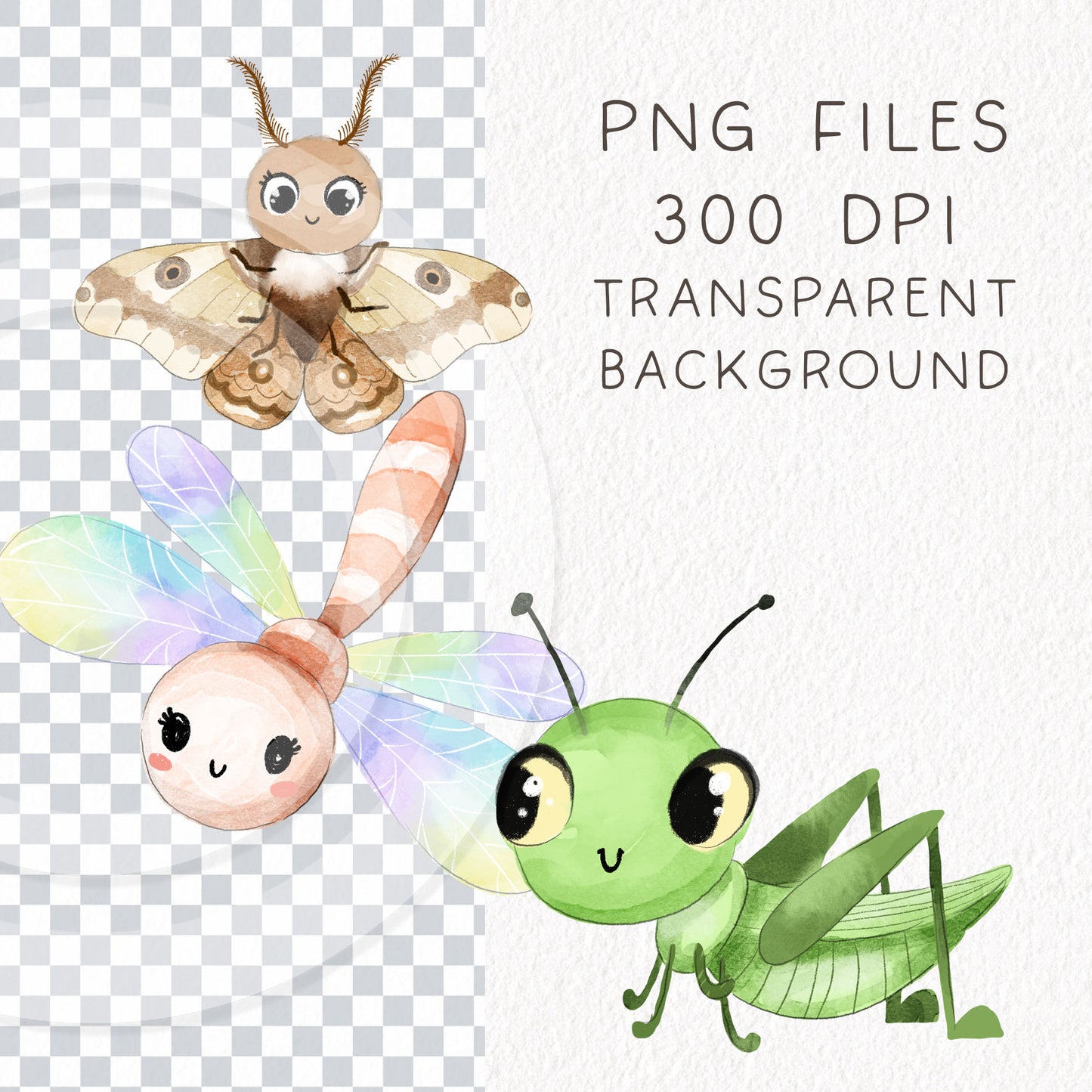 Cute Bugs, Insects Clipart, Hand drawn clipart, PNG files.