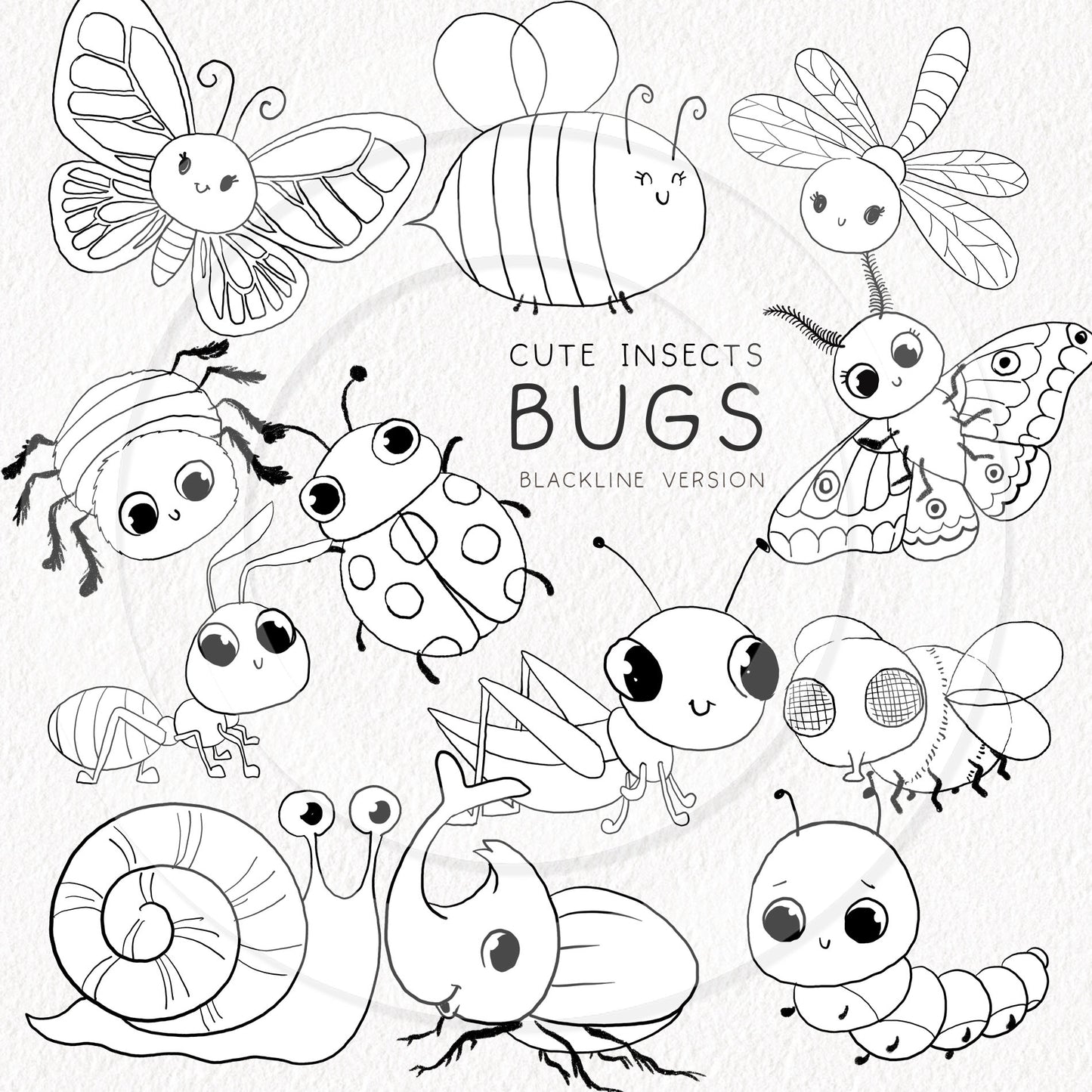 Cute Bugs, Insects Clipart, Hand drawn clipart, PNG files.