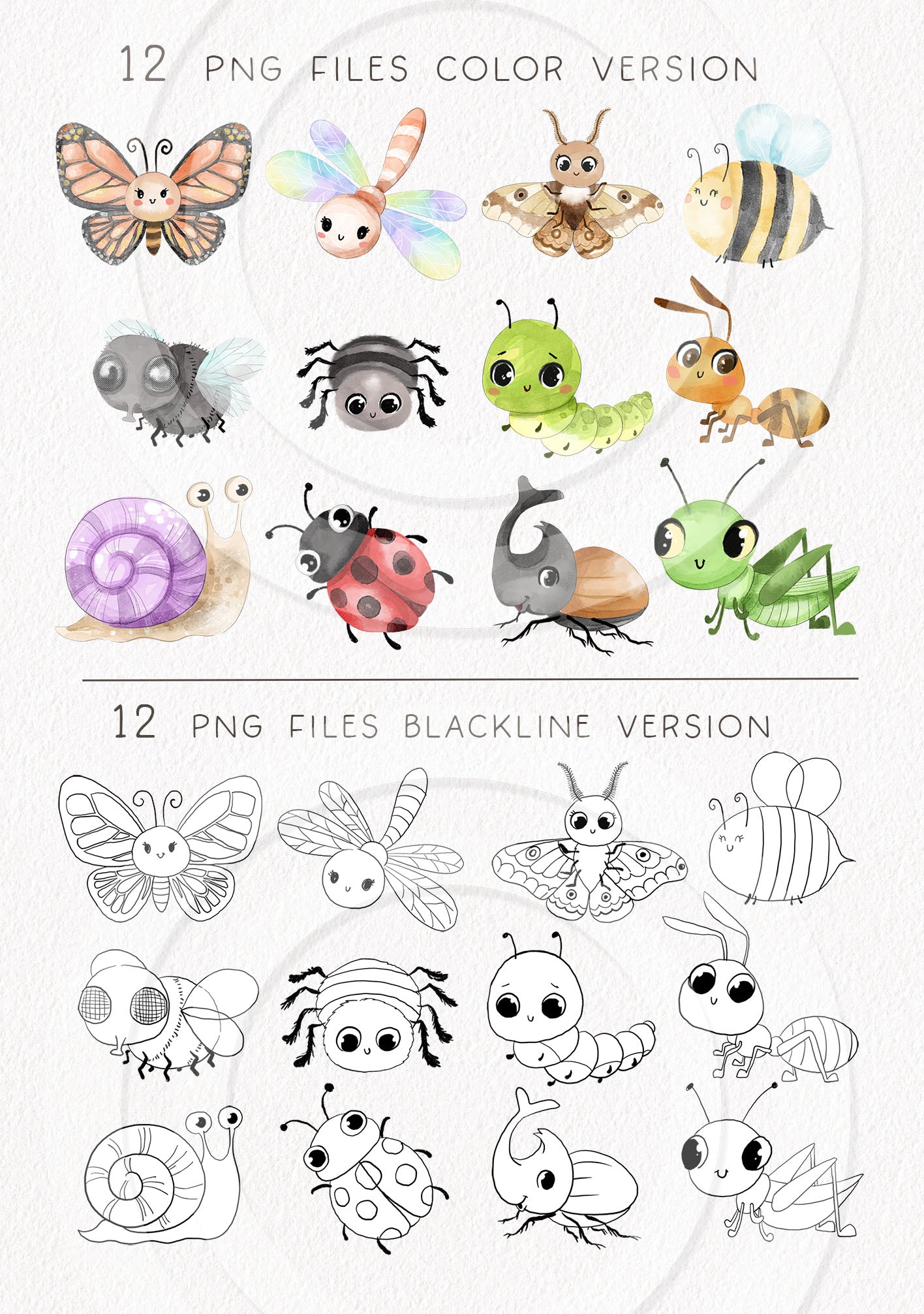 Cute Bugs, Insects Clipart, Hand drawn clipart, PNG files.