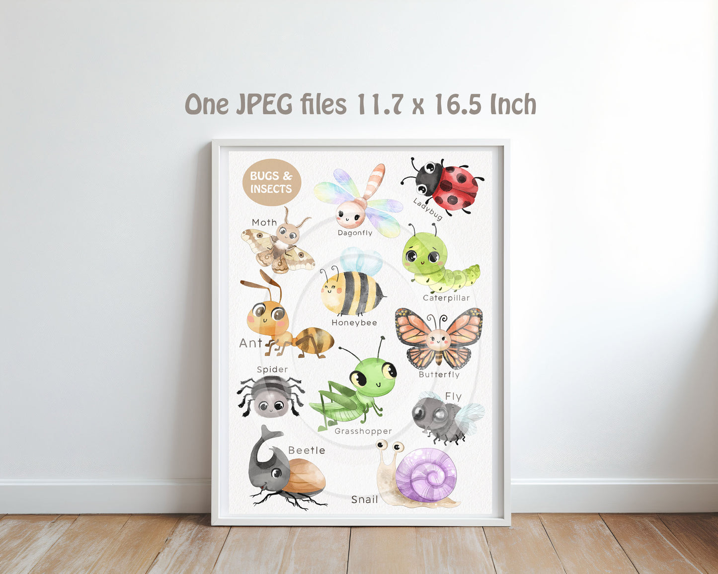 Cute Bugs, Insects Clipart, Hand drawn clipart, PNG files.