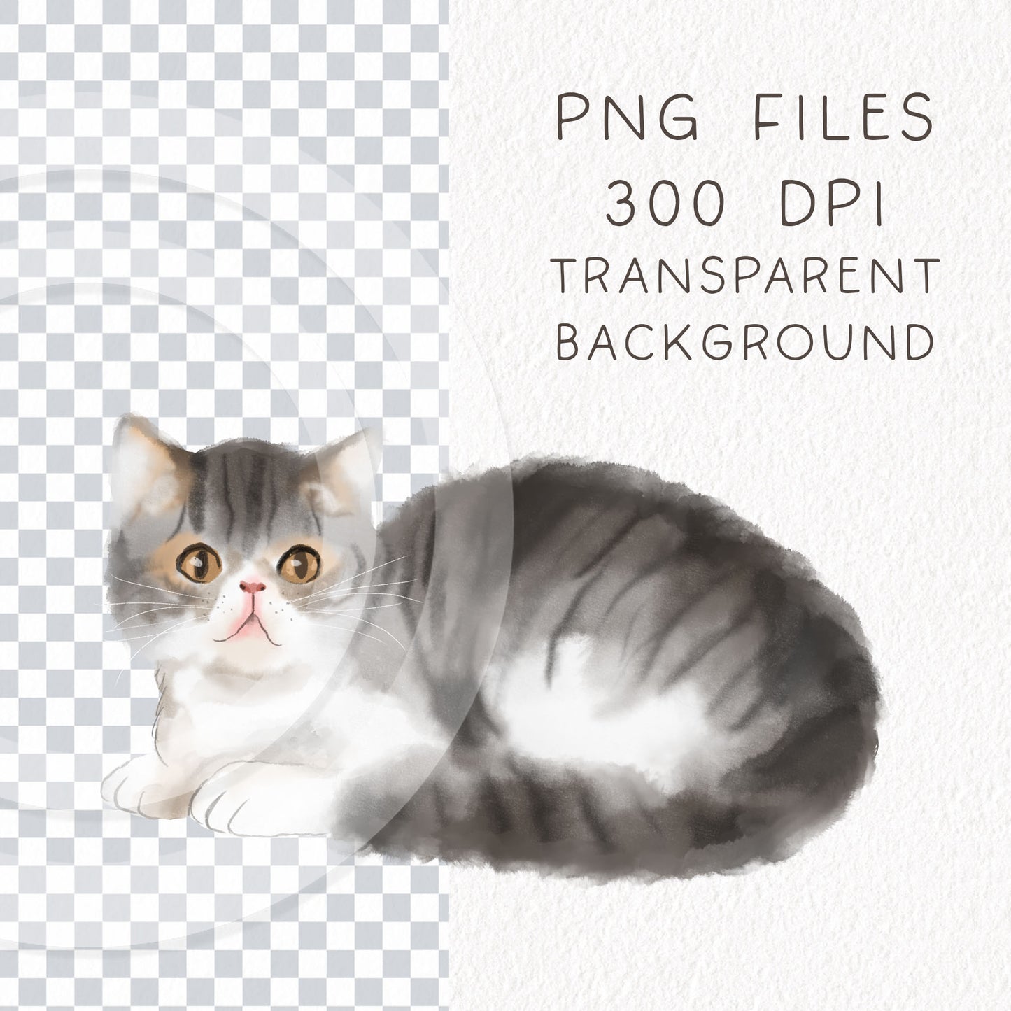 Cute cats breed clipart , seamless Pattern design, Hand drawn clipart, Instant Download PNG file - 300 dpi
