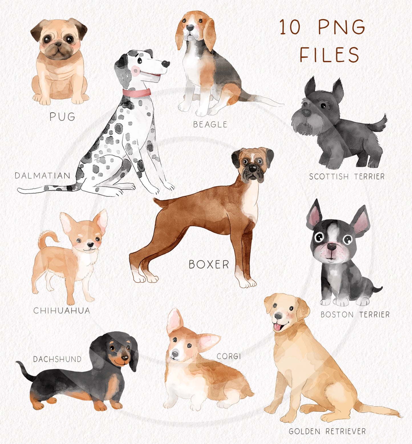 Cute dogs breed clipart , seamless Pattern design, Hand drawn clipart, Instant Download PNG file - 300 dpi
