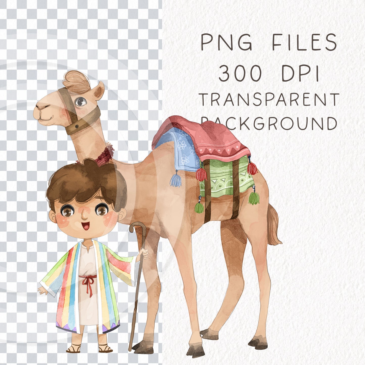 Joseph Coat of Many Colors Clipart , Bible Stories, hand drawn illustration, Instant Download PNG files 300 dpi.