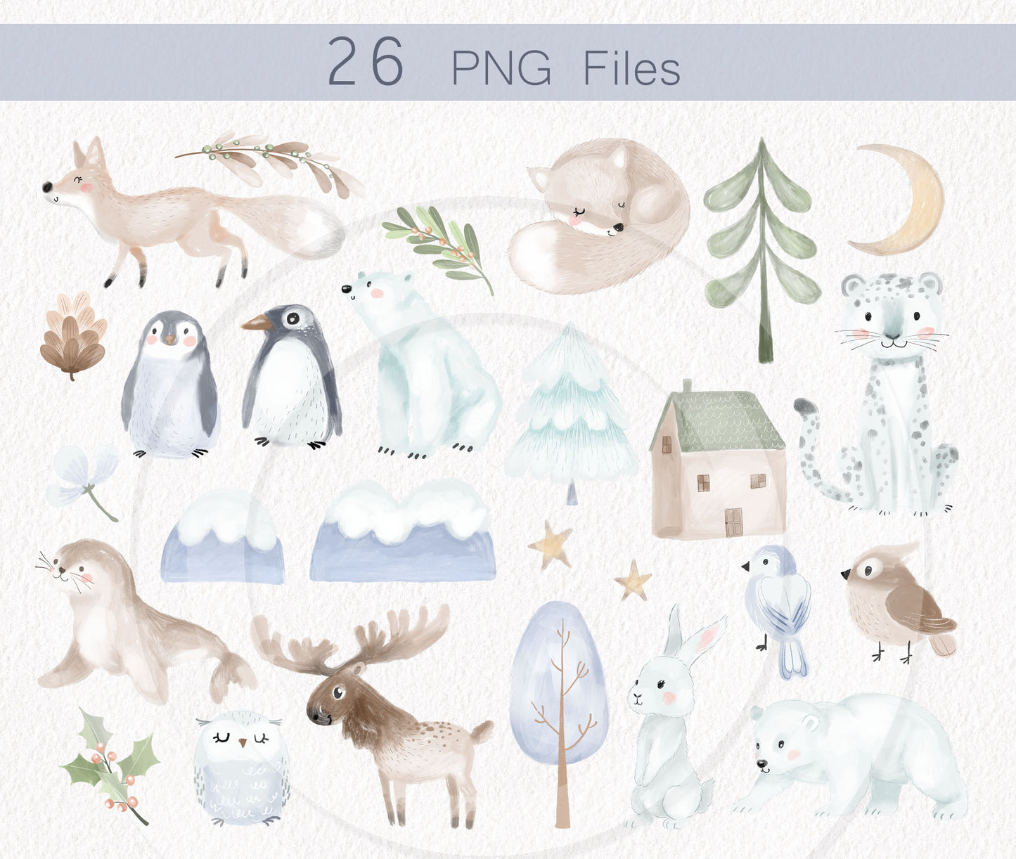 Winter animals clipart, winter clipart, instant download PNG file - 300 dpi