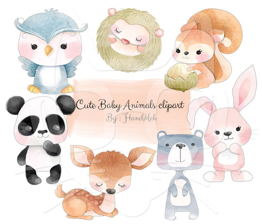 Baby animals, woodland clipart Instant Download PNG file - 300 dpi