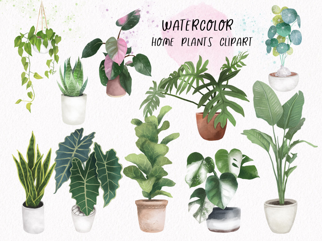 Watercolor Home Plants Clipart instant download PNG file - 300 dpi