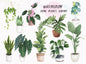 Watercolor Home Plants Clipart instant download PNG file - 300 dpi