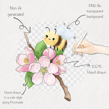 Apple Life Cycle Clip Art ,PNG files 300 dpi.