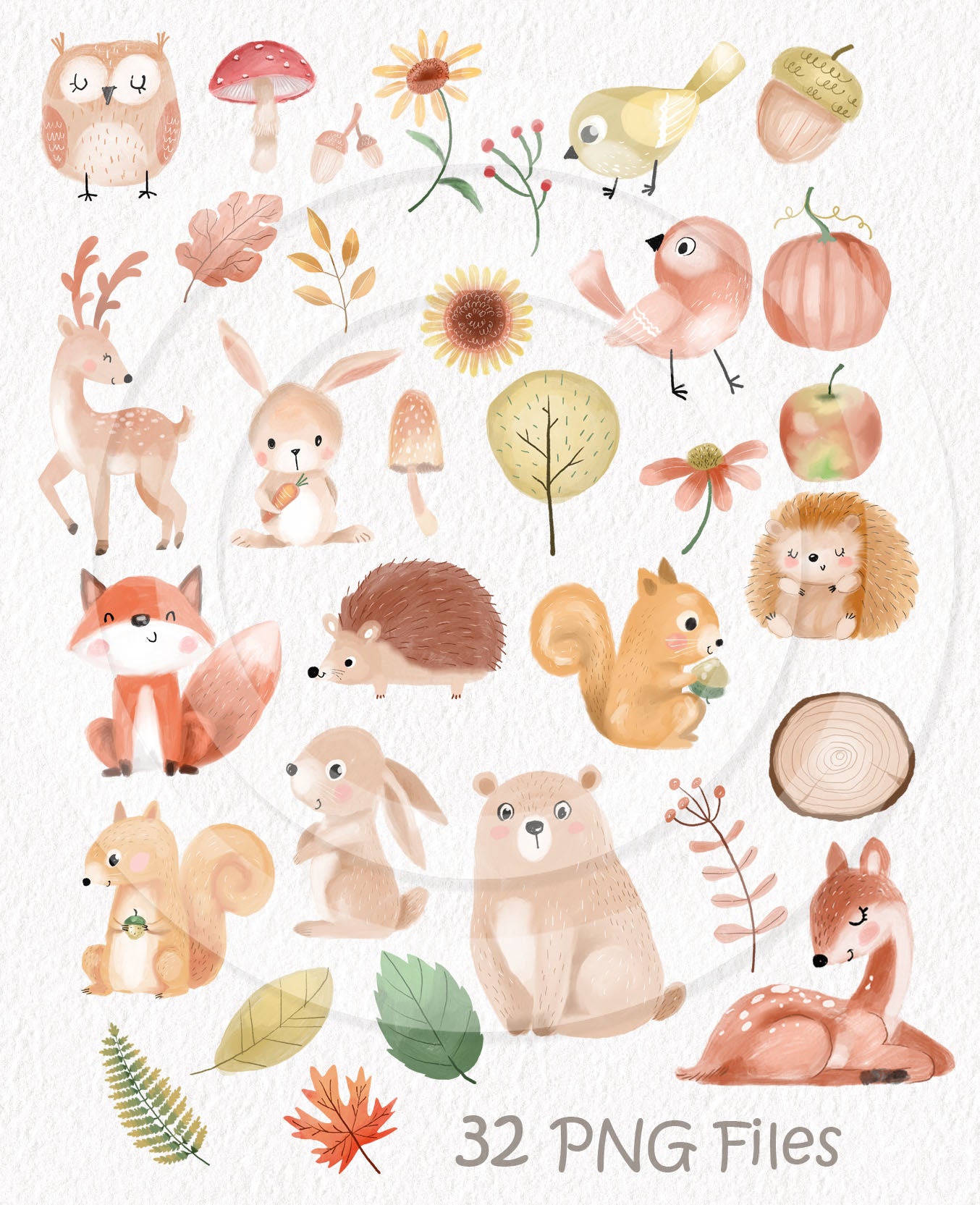 Autumn animals clipart, Fall clipart, instant download PNG file - 300 dpi