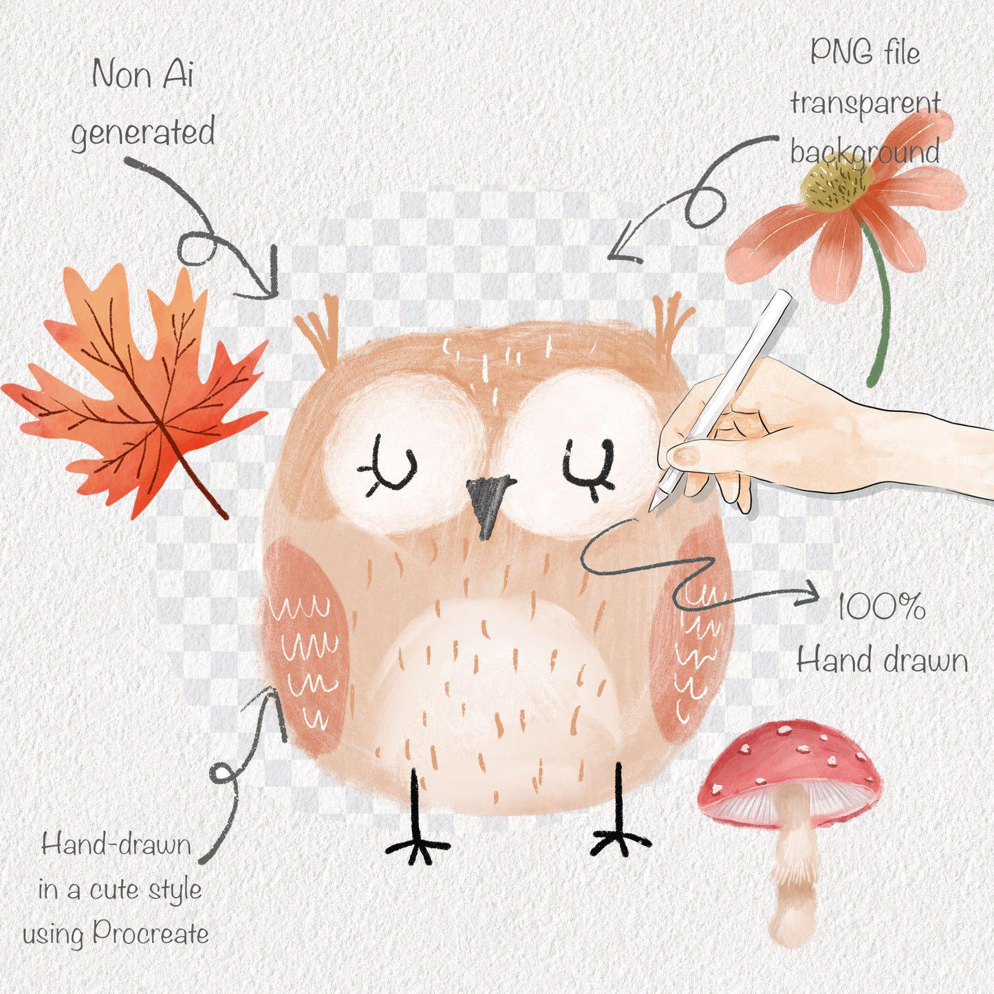 Autumn animals clipart, Fall clipart, instant download PNG file - 300 dpi
