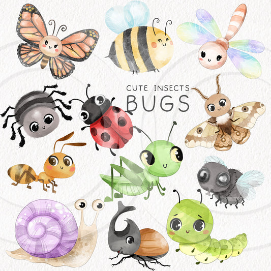 Cute Bugs, Insects Clipart, Hand drawn clipart, PNG files.
