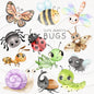 Cute Bugs, Insects Clipart, Hand drawn clipart, PNG files.