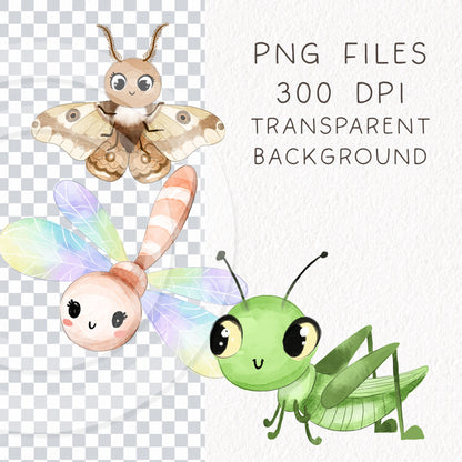 Cute Bugs, Insects Clipart, Hand drawn clipart, PNG files.