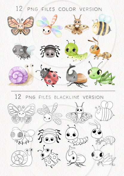 Cute Bugs, Insects Clipart, Hand drawn clipart, PNG files.