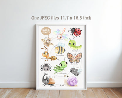 Cute Bugs, Insects Clipart, Hand drawn clipart, PNG files.