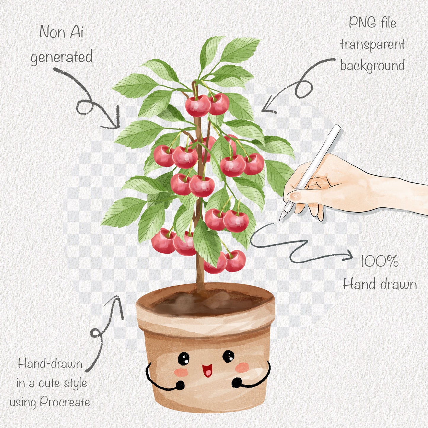 Cherry Life Cycle Clip Art ,PNG files 300 dpi.
