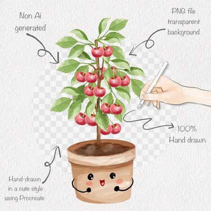 Cherry Life Cycle Clip Art ,PNG files 300 dpi.
