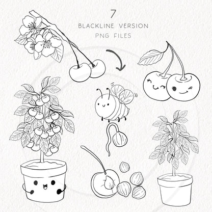 Cherry Life Cycle Clip Art ,PNG files 300 dpi.