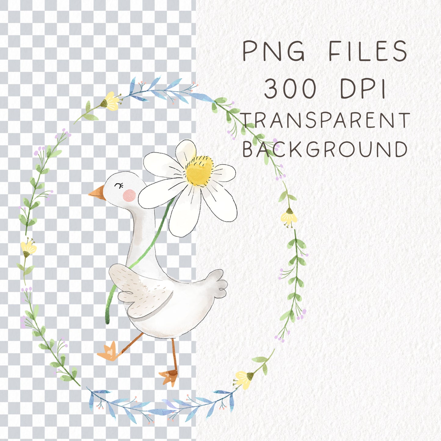 Silly Goose ClipArt set  instant download PNG file - 300 dpi