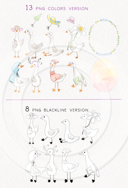 Silly Goose ClipArt set  instant download PNG file - 300 dpi