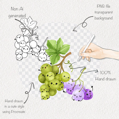 Grape Life Cycle Clip Art ,PNG files 300 dpi..