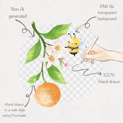 Orange Life Cycle Clip Art ,PNG files 300 dpi.