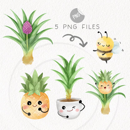 pineapple fruit Life Cycle Clip Art ,PNG files 300 dpi.