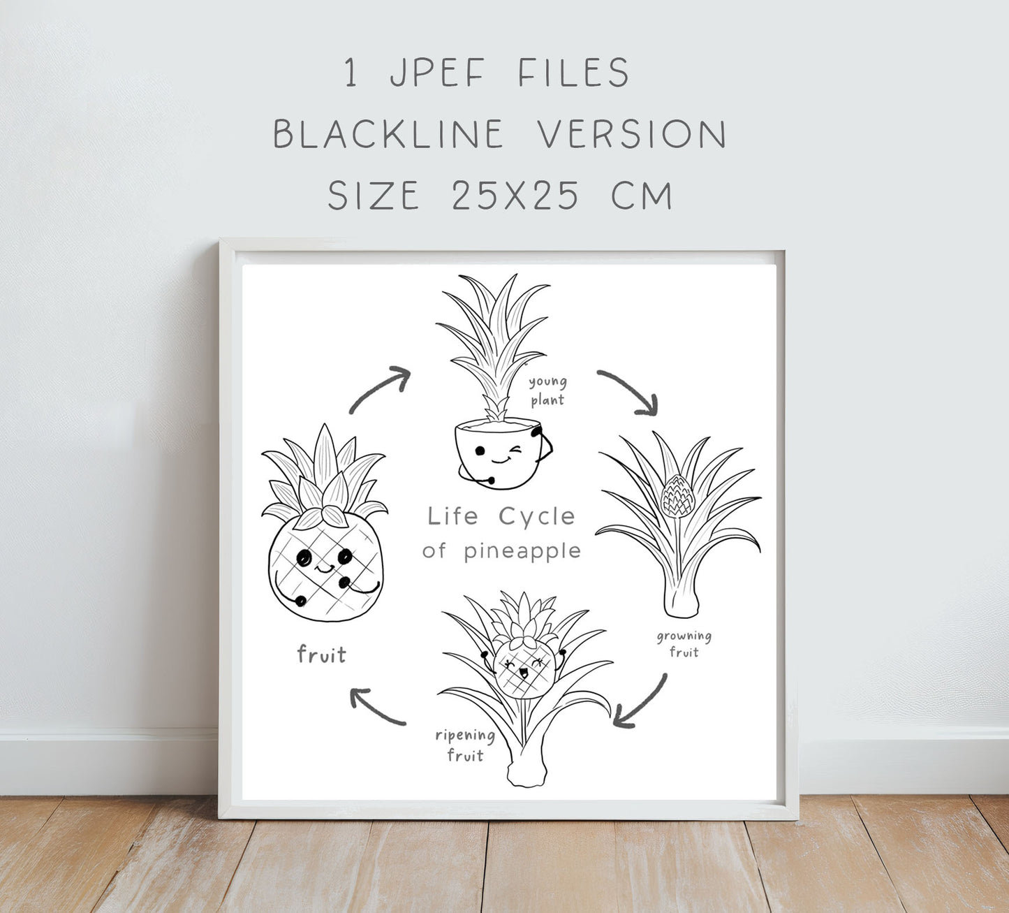 pineapple fruit Life Cycle Clip Art ,PNG files 300 dpi.