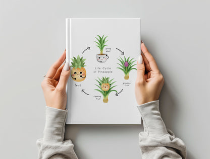 pineapple fruit Life Cycle Clip Art ,PNG files 300 dpi.