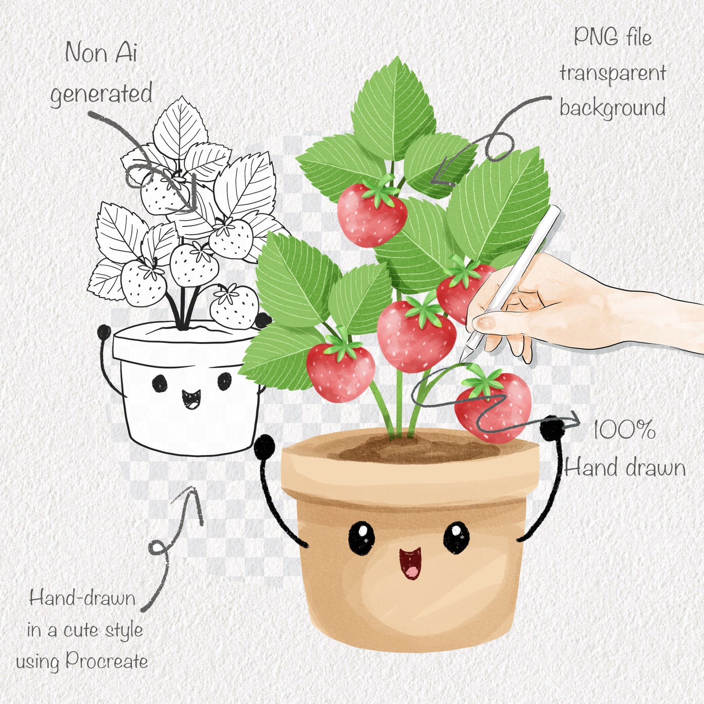 Strawberry fruit Life Cycle Clip Art ,PNG files 300 dpi.