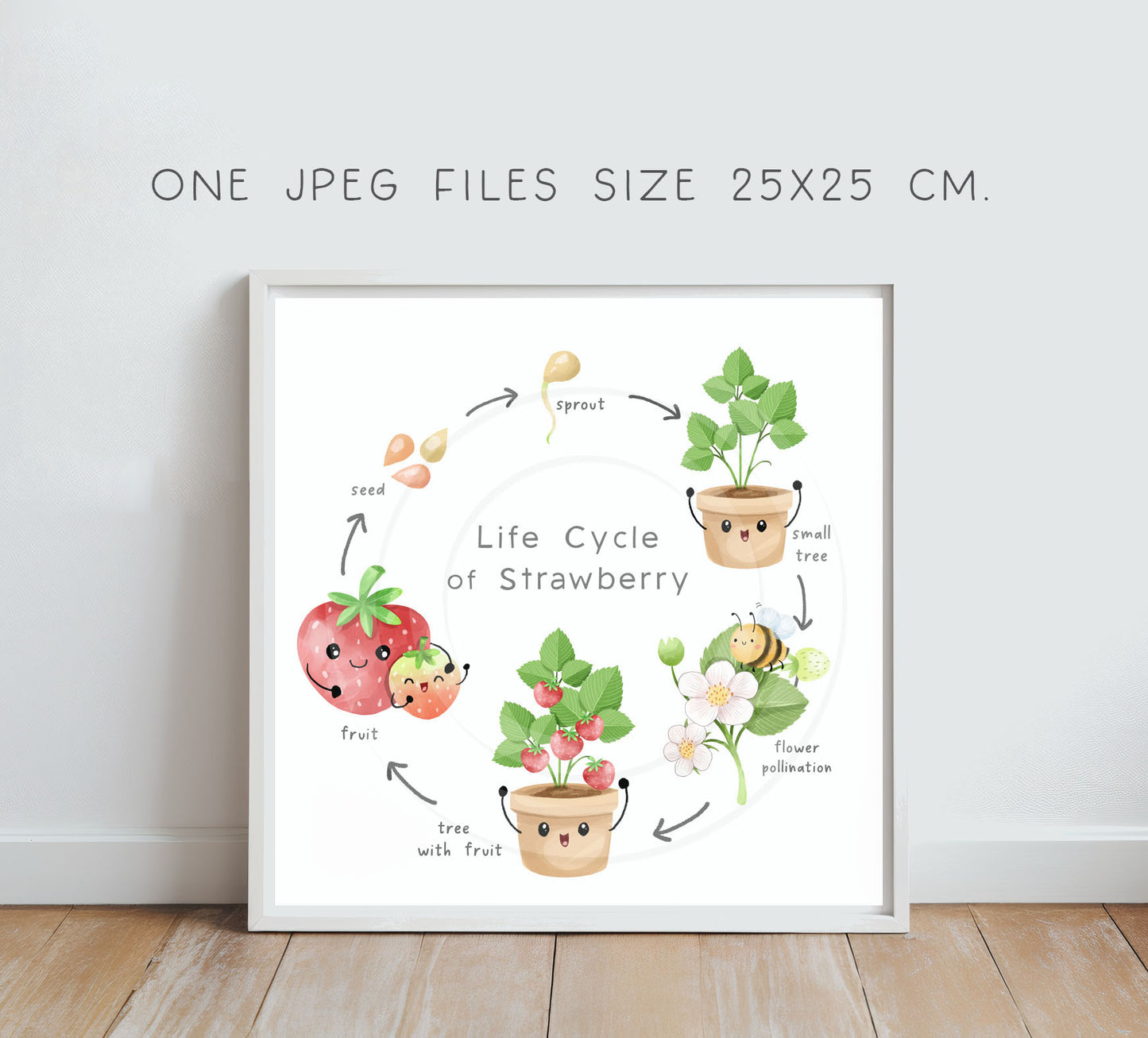 Strawberry fruit Life Cycle Clip Art ,PNG files 300 dpi.