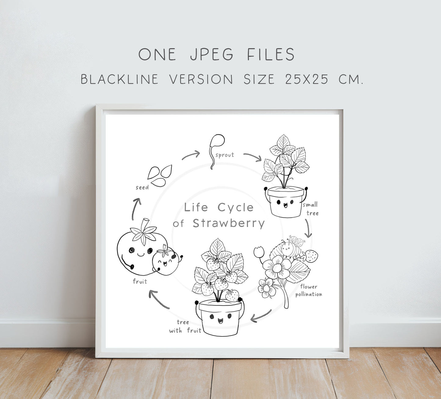 Strawberry fruit Life Cycle Clip Art ,PNG files 300 dpi.
