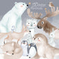 Winter animals clipart, winter clipart, instant download PNG file - 300 dpi